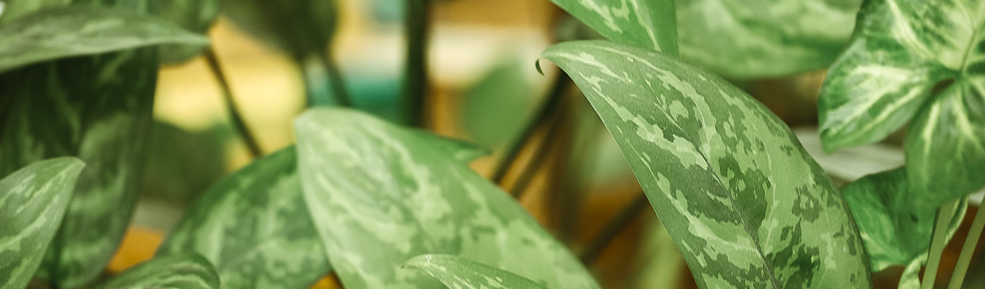 Karriere bei Dr. Slawitsch